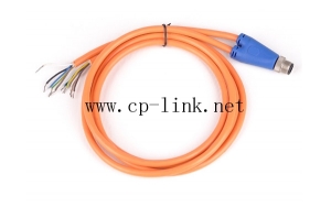 M12 male Straight Molded 2 Cables